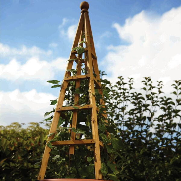 Wooden Obelisk Plant Support Trellis