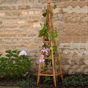 Wooden Obelisk Plant Support Trellis