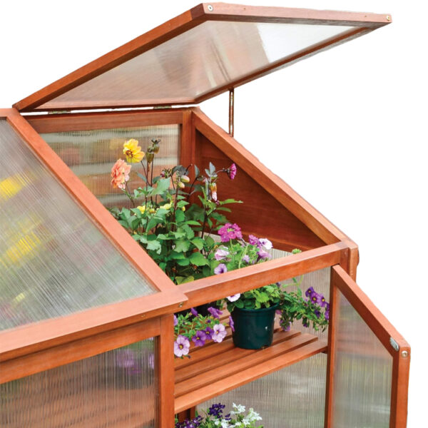 Mini Garden Greenhouse with Shelves