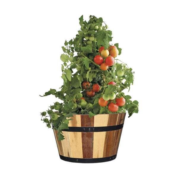 Wood Barrel Planter with Metal Bands