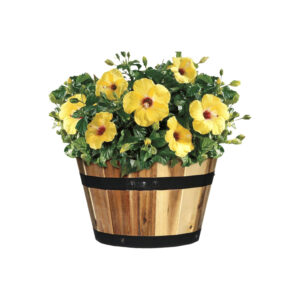 Wood Barrel Planter with Metal Bands