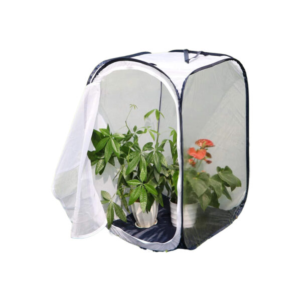​​Large Monarch Butterfly Habitat Cage with Observation Window​​