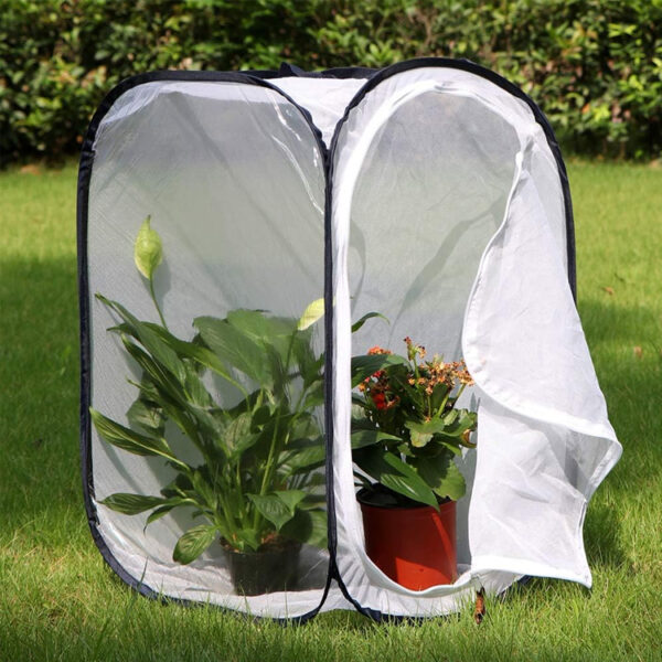 ​​Large Monarch Butterfly Habitat Cage with Observation Window​​