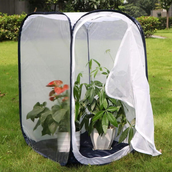 ​​Large Monarch Butterfly Habitat Cage with Observation Window​​