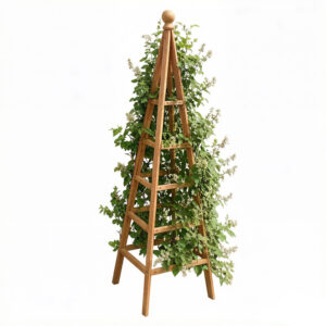 Classic Wooden Garden Pyramid Obelisk for Climbing Plants