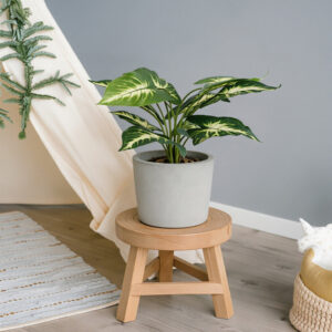 Solid Wood Mini Tripod Plant Stand