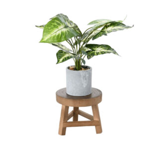 Solid Wood Plant Display Stool​​