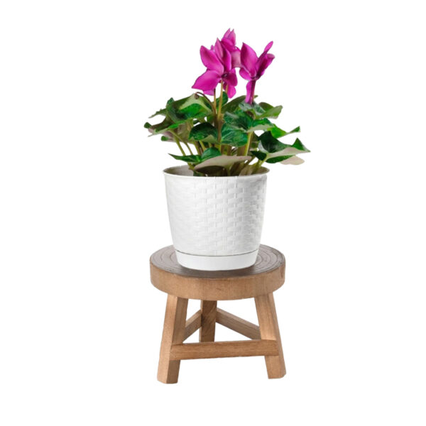 Solid Wood Plant Display Stool​​