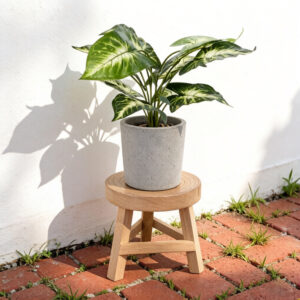 Wooden Plant Stool Indoor 18×18×15cm