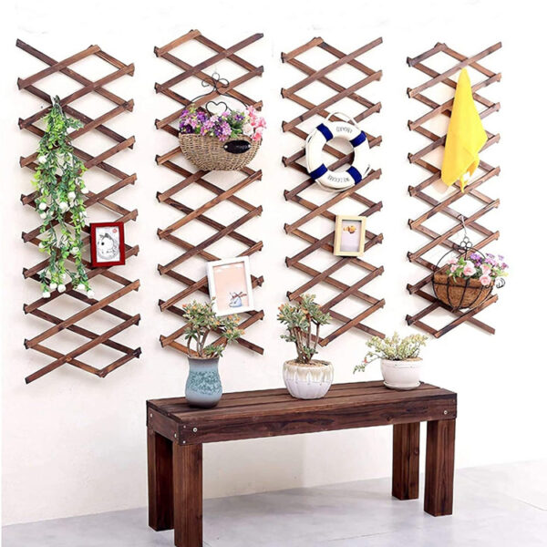 ​​Expandable Wooden Lattice Wall Planter with Hooks​​