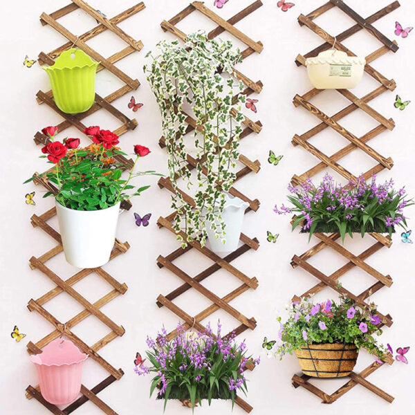 ​​Expandable Wooden Lattice Wall Planter with Hooks​​